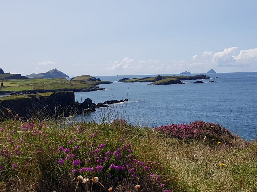 From Killarney: 'Ring of Kerry' Mountain Road 1-Day Bus Tour - Who this tour fits best
