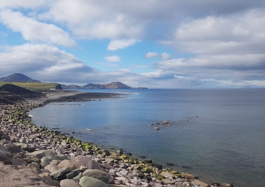 From Killarney: 'Ring of Kerry' Mountain Road 1-Day Bus Tour - Molls Gap and Ladies’ View: when the road becomes a viewpoint circuit