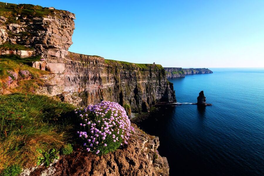 From Limerick: Full-Day Guided Tour of Cliffs of Moher - Lunch in Liscannor or Doolin: choose your vibe