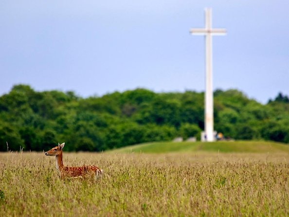 Full-day Award Winning Private Dublin City Highlights Tour - How the 8-hour private day really flows from your hotel