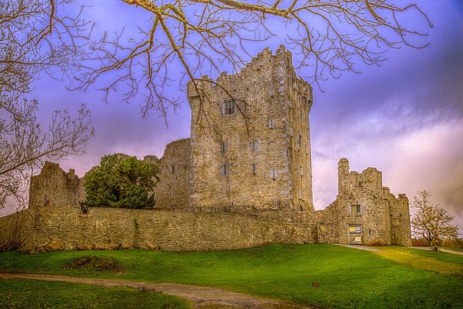 Full-Day Private Historical Tour at Ring of Kerry - Key highlights worth your attention
