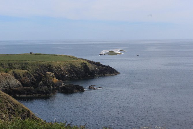 Full day Private Tour from Waterford - Key things I’d zero in on