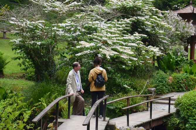 Full Day Private Wicklow Tour - Glendalough monastic settlement: ruins, guided context, and lake walks