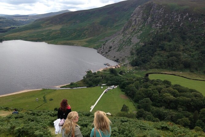 Full Day Private Wicklow Tour - Sally Gap: the mountain pass with movie-level views