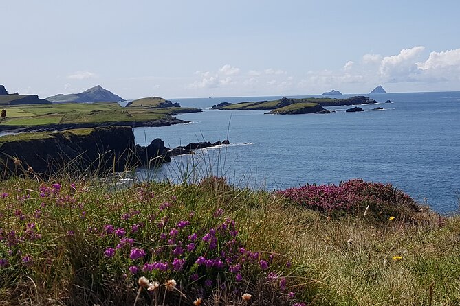 Full-Day Ring of Kerry Tour from Killarney - Ladies’ View and the photo-stop strategy you will actually appreciate