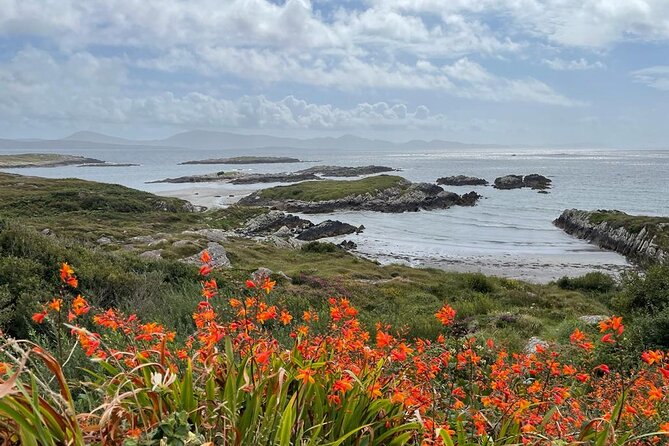 Full-Day Ring of Kerry Tour from Killarney - Derrynane and the coast: the part of the loop you will remember