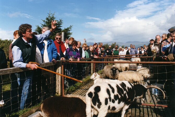 Full-Day Ring of Kerry Tour from Killarney - Molls Gap and Dingle Bay: where the scenery sells the day