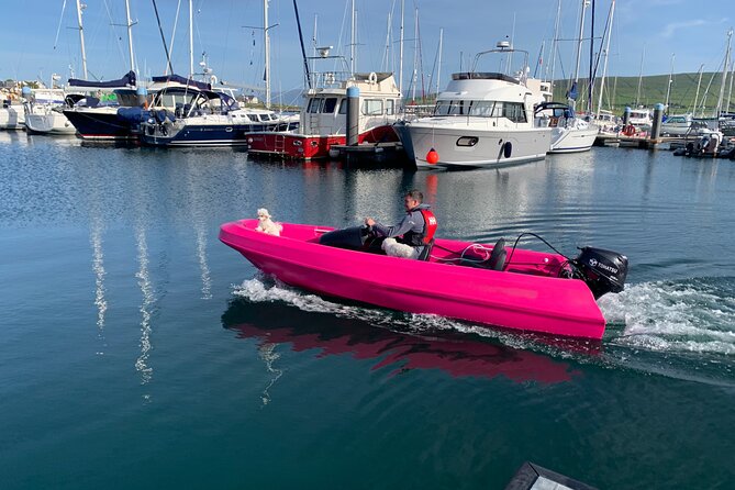 Funky Pink Self Drive Boats - “Funky Pink” Is More Than a Color: It Changes the Mood