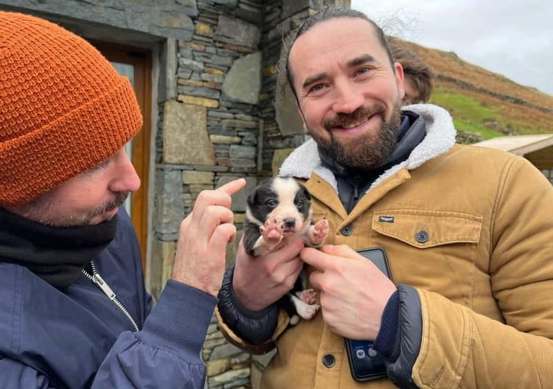 Galway: Connemara, Sheepdog Show and Medieval Castle Tour - Small-group Connemara, starting right in Galway