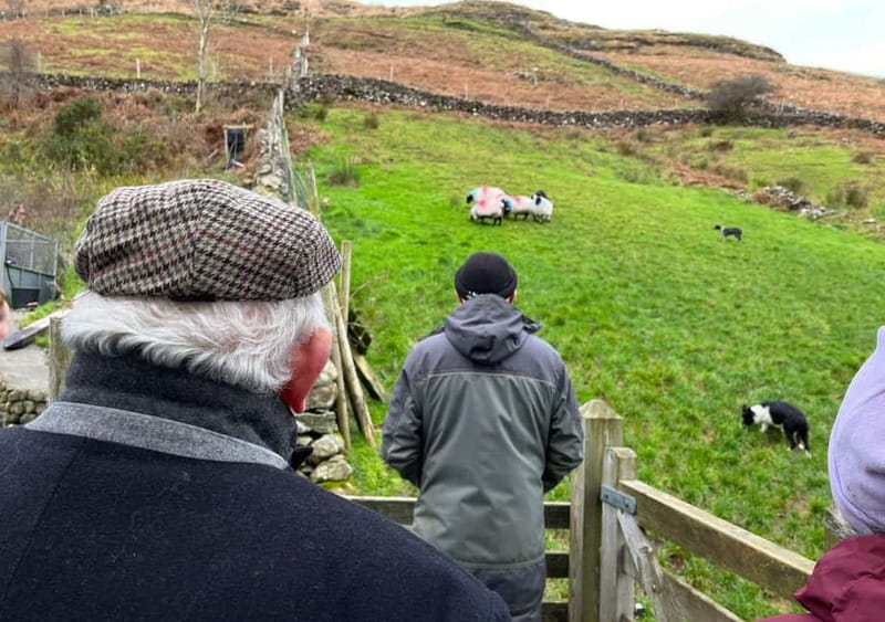 Galway: Connemara, Sheepdog Show and Medieval Castle Tour - Leenane village stop: a breather between big sights