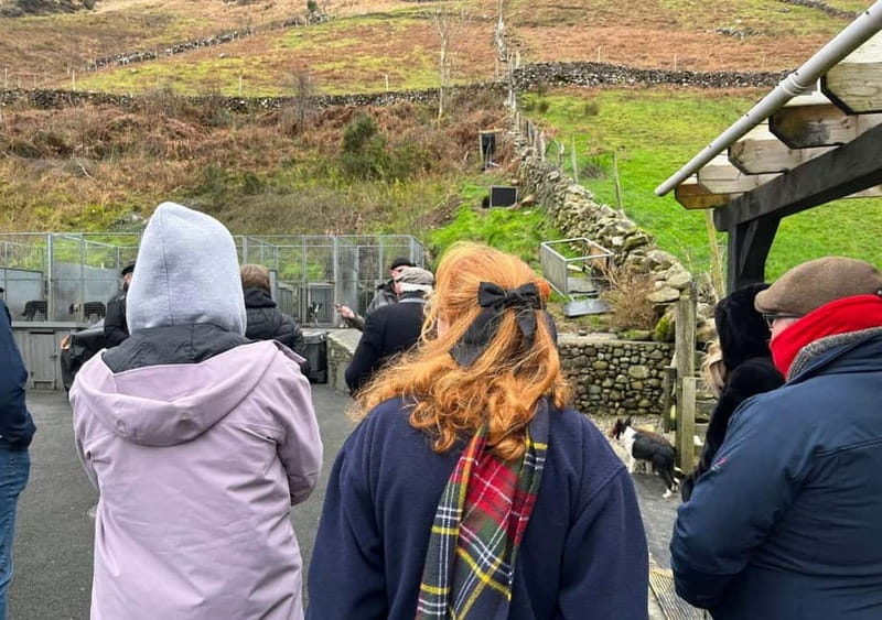 Galway: Connemara, Sheepdog Show and Medieval Castle Tour - Cong Village and Cong Abbey: quiet history on the Galway-Mayo border
