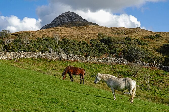Galway to Connemara National Park Day Tour - Killary Harbour, the fjord stop: 15 minutes and a great payoff