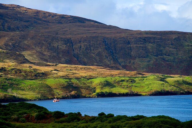 Galway to Connemara National Park Day Tour - Connemara National Park visitor centre: choosing a hike in 2 hours