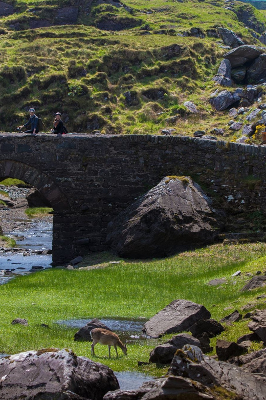 Gap of Dunloe & Lakes of Killlarney Boat Tour - The return by boat: Gearhameen River to Ross Castle