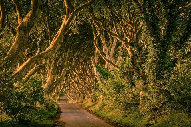 Giant Causeway, Dark Hedges & Whiskey Distillery tour from Dublin - A 13-hour Northern Ireland sampler that beats renting a car