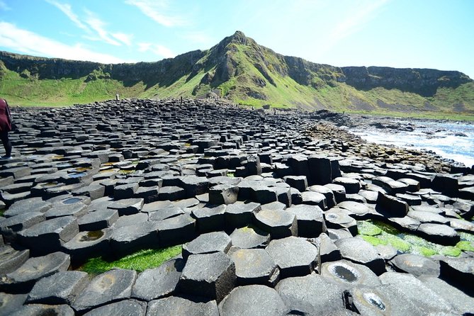 Giant's Causeway, Dark of Hedges & Belfast Day Tour From Dublin - Dark Hedges: The Kings Road Walk in About 40 Minutes