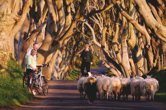 Giant's Causeway Day Tour from Dublin - Belfast City Hall stop: a taste, not a full visit