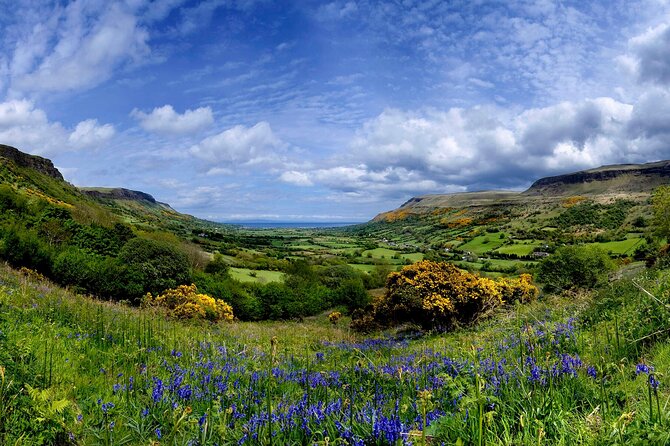 Giant's Causeway with the Titanic Exhibition and the best of Northern Ireland - The Dark Hedges in 20 minutes, a beech-tree tunnel you can photo fast