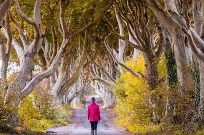 Giants Causeway and Belfast 2 Days with Private Chauffeur Tour - Belfast murals and the city’s political memory