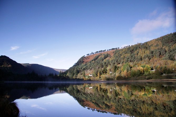 Glendalough and Dublin City Excursion - Ship to shore - Conor, Declin, Godfrey, and Michael: How guide energy changes the day