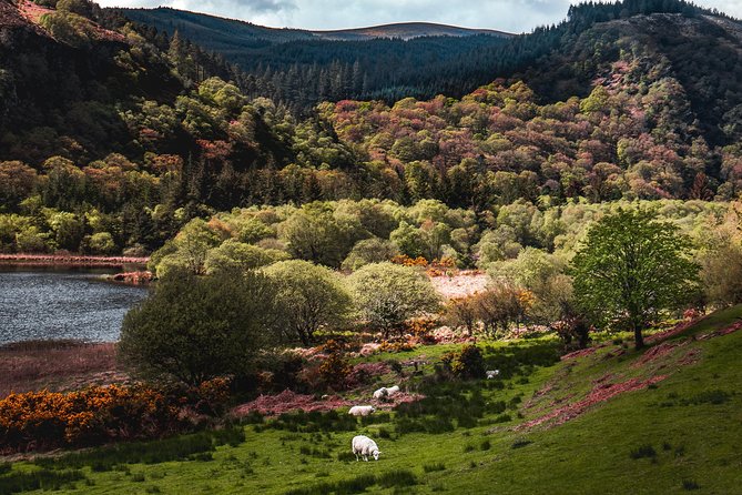 Glendalough Day Tour from Dublin: Including Kilkenny City - Kilkenny city time: where medieval details show up fast