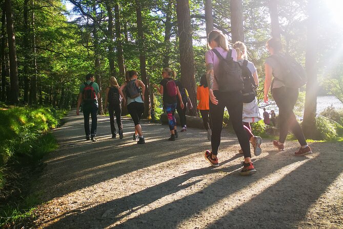 Glendalough Night Hike and History Tour - Walking into darkness: miners village to the 6th century monastic site