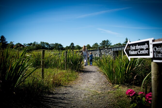 Guided Doolin Cave Tour: Experience Europe's Largest Stalactite - The stalactite moment: what you should look for