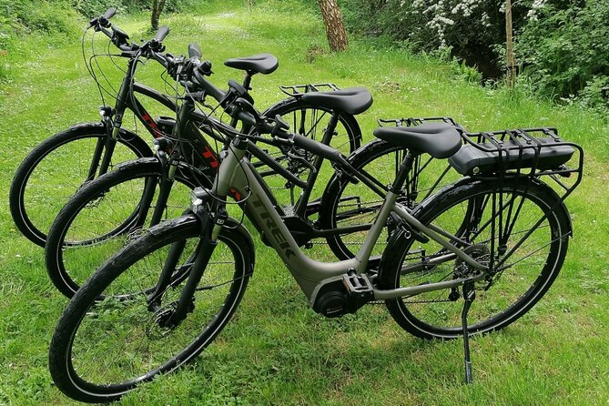 Guided eBike Tour - Killaloe and the Lough Derg Shore - The guide experience: friendliness, answers, and a smoother pace