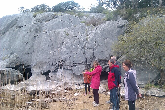 Guided Killarney National Park Walking Tour - The walk in the park: a relaxed rhythm with wildlife on the menu