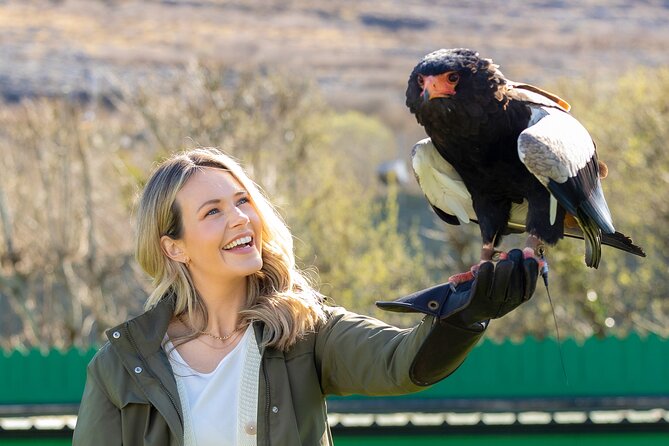 Guided Tour of Aillwee Cave and Visit to the Birds of Prey Centre - Key takeaways before you go