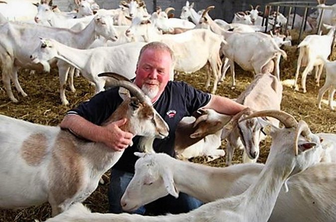 History & cultural tour of Inishmore, Aran Islands. Galway. Private. 2 ½ hours - Gabriel’s Goat Farm and Dillisk Cheese Tasting
