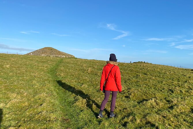 History & Heritage Tour: Kells, Trim, Loughcrew, Fore, Distillery - Who This Tour Suits Best