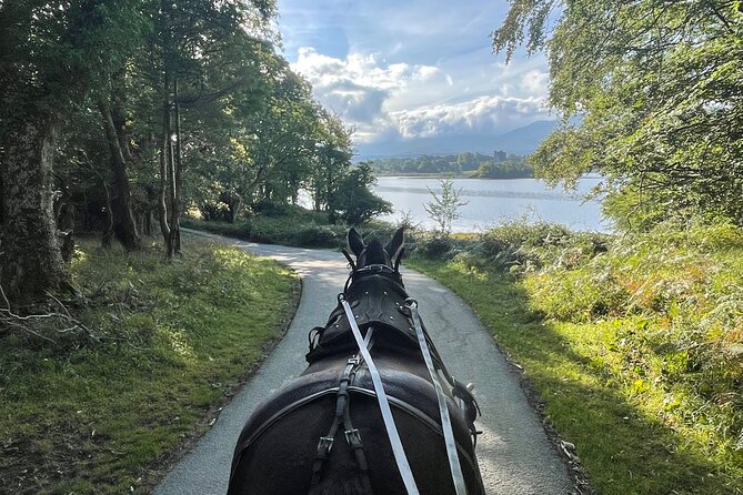 Horse-Drawn Carriage Tours in Killarney - Key highlights to look for
