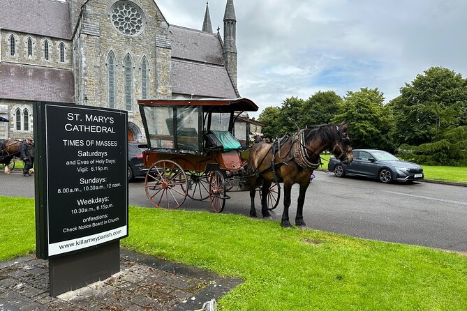 Horse-Drawn Carriage Tours in Killarney - A one-hour jaunting ride that slows down Killarney