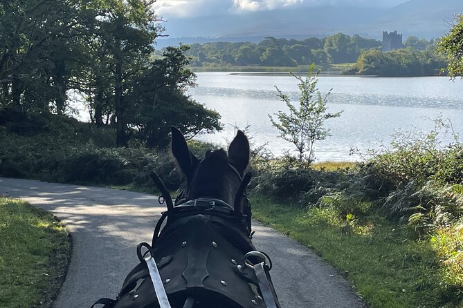 Horse-Drawn Carriage Tours in Killarney - Price and value: what $48.06 really buys you