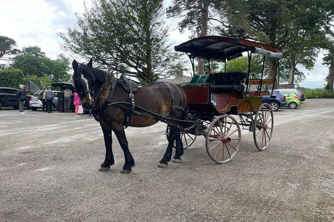 Horse-Drawn Carriage Tours in Killarney - Who this carriage ride suits best