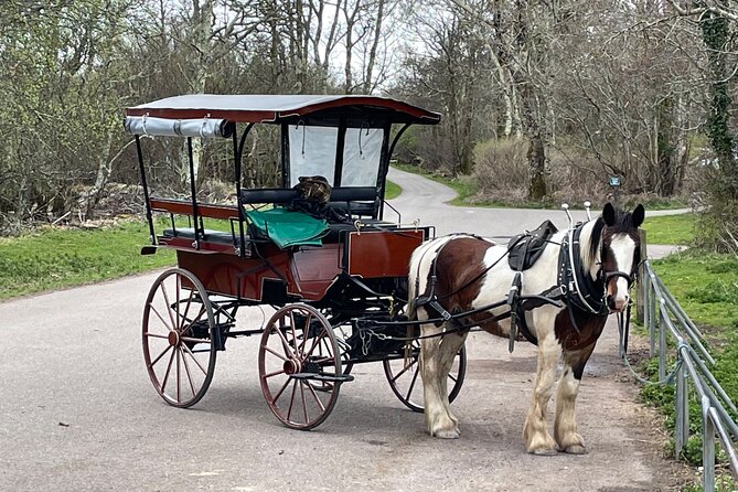 Horse-Drawn Carriage Tours in Killarney - Weather and timing: how to plan your best day
