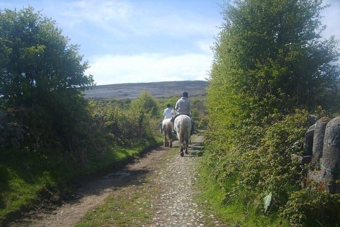 Horse riding - Burren Trail. Lisdoonvarna, Co Clare. Guided. 3 hours. - Meeting Mountain View Horse Riding Centre (Poulnagun, Lisdoonvarna)