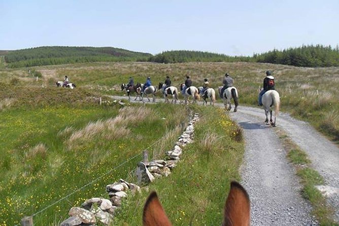 Horse riding - Burren Trail. Lisdoonvarna, Co Clare. Guided. 3 hours. - The Burren Trail: Stone Forts, Potato Famine Ruins, and Big View Moments