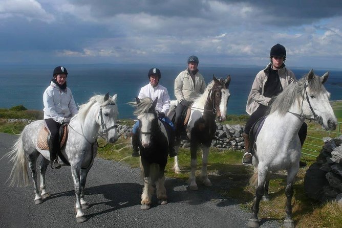 Horse riding - Burren Trail. Lisdoonvarna, Co Clare. Guided. 3 hours. - Your Guide, the Horses, and How Coaching Actually Works