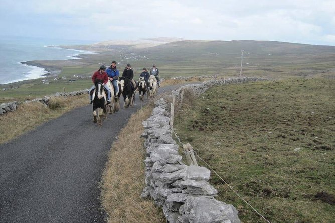 Horse riding - Burren Trail. Lisdoonvarna, Co Clare. Guided. 3 hours. - Price and Value: What $243 Gets You in County Clare