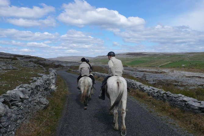 Horse riding - Burren Trail. Lisdoonvarna, Co Clare. Guided. 3 hours. - Choosing 3 or 4 Hours of Burren Horse Time