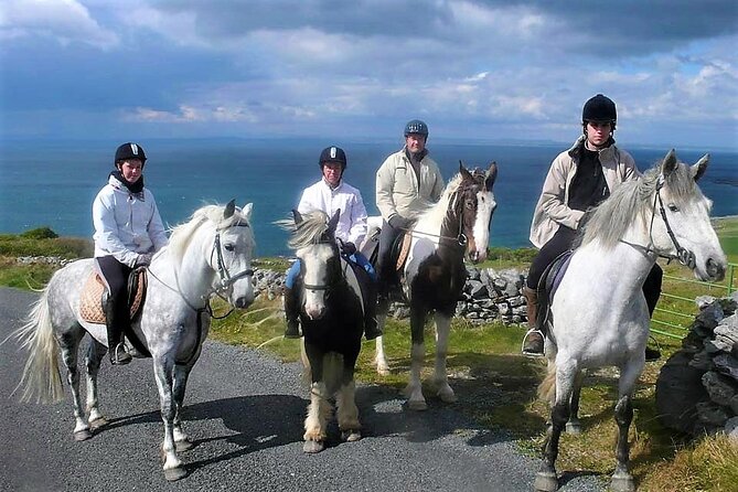 Horse riding - Dirt Trek Trail. Lisdoonvarna, Clare. Guided. 1 hour. - Dirt Trek Trail: a short ride with big Clare views