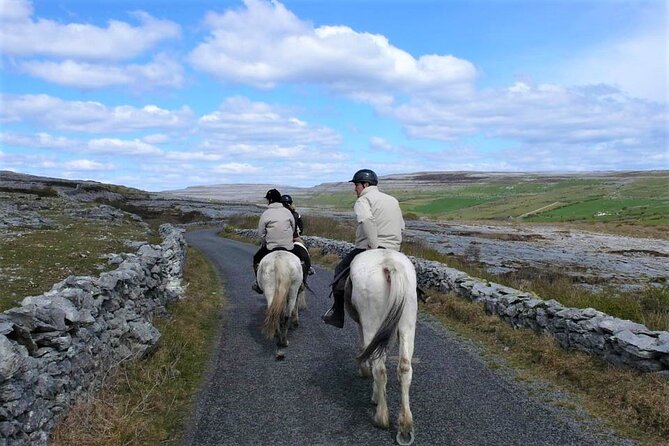 Horse riding - Dirt Trek Trail. Lisdoonvarna, Clare. Guided. 1 hour. - Horse quality and care: what you should look for in the stable