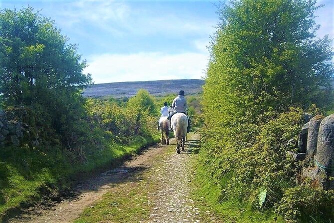 Horse riding - Dirt Trek Trail. Lisdoonvarna, Clare. Guided. 1 hour. - Price and value: where $121.62 makes sense