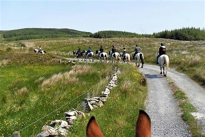 Horse riding - Dirt Trek Trail. Lisdoonvarna, Clare. Guided. 1 hour. - Who should book, and who should pause