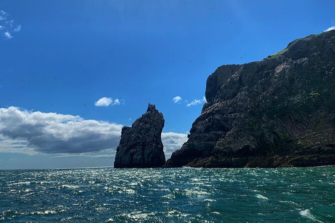 Howth Cliffs and Ireland's Eye Ferry Boat Tour - Timing, Seating, and Getting Comfortable in Choppy Water