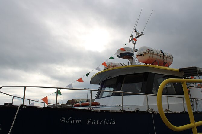 Howth Cliffs and Ireland's Eye Ferry Boat Tour - Price and Value: Why $24.20 Makes Sense for This Route