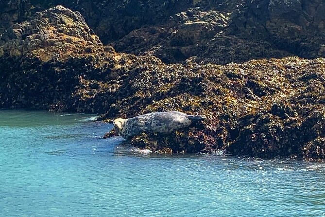 Howth Cliffs and Ireland's Eye Ferry Boat Tour - Starting at Baily Lighthouse, Then Swinging Out to the Cliffs