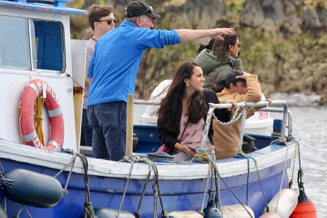 Howth Coastal Boat Tour (Ireland's Eye Ferries 50 mins trip) - How a 1-Hour Coastal Cruise From Howth Actually Works